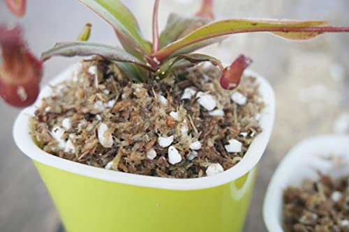 3 Qts Carnivorous Plant Soil Mix, Great Potting Soil for Venus Fly Trap Live Plant, Pitcher Plants, Sundews and Butterworts - size: 3QT