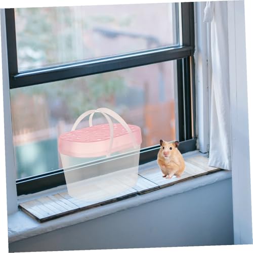 POPETPOP 2pcs Small Pet Plastic Carriers Portable Hamster Boxes Turtle Cases Handheld Reptile Travel Cages for Outdoor Use