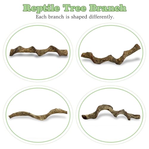 Reptile Cork Bark with Reptile Climbing Decor Thick Wood Branches Snake Habitat Decorations Terrarium Wooden Tree Trunk Ornament