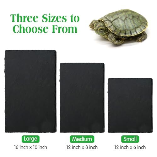 Tfwadmx Reptile Basking Platform, Tortoise Feeding Dish, Natural Rock Reptile Food Bowl Landscape Habitat Decor for Turtle Lizard Bearded Dragon Crested Gecko Snake - size: 1pcs-12"x6"