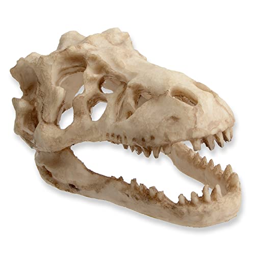 Fish Tank Decorations Dinosaur Skull Decor Resin Aquarium Decoration Accessories for Small Betta Fish, Hermit Crab Hideout Caves, Reptile House Ornament