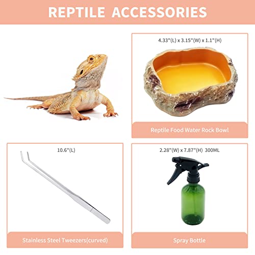 Reptile Growth Mini Reptile PC Terrarium,8x8x7 inch Amphibian Tank Starter Kit Habitat Cage，for Insect，Fish，Tarantula，Turtles，Jumping Spiders and Small Reptiles - size: 8" x 8"x 7"