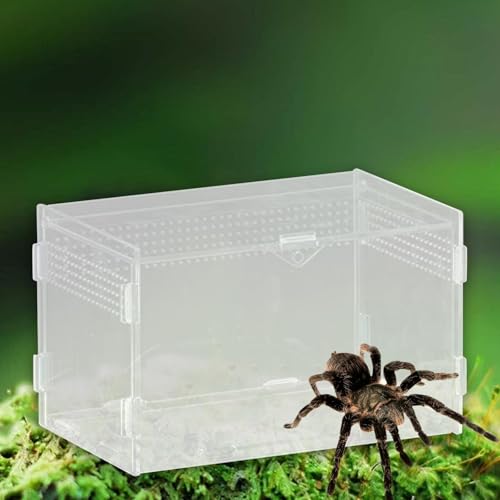 Reptile Breeding Box Terrarium Clear Animal Habitat Cage with Ventilation Holes for Geckos Frogs Hermit Crabs- 20x12x12cm - size: 20x12x12cm