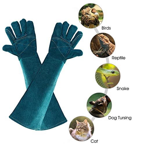 AOWPFVV Animal Handling Gloves Bite Proof Leather Dog Cat Scratch Bird Falcon Grabbing Reptile Squirrel Snake - color: A-dark Green Size Medium(23.6in)