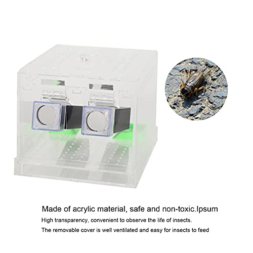 bizofft Cricket Keeper, Cricket Keeper with Tubes Safe and Non- for Office for Home(L)