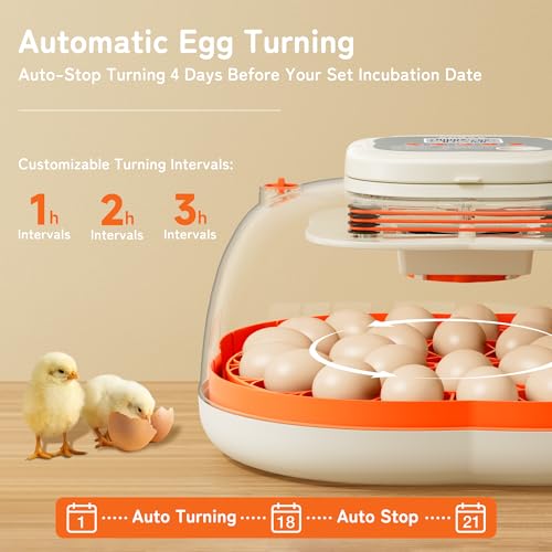 APDOE Egg Incubators for Hatching Eggs, Temperature and Humidity Control, Automatic Egg Turning, Egg Candler, External Water Bottle, Air Vent, for Chicken, Duck & Quail Eggs, 25 Eggs - size: 25 Eggs