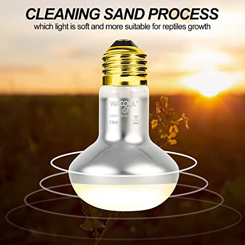 WACOOL 2 Pack Heat Lamp Bulbs for Reptiles, 75W Intense Basking Spot Lights, Simulate Daytime Sunshine Heat Bulbs, UVA Daylight - style: 75W-2pack