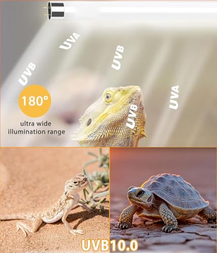 3 Pack T5 UVB Reptile Light 24W 10.0,UVA UVB Light Bulb for Reptiles, Reptile UVB Lamp Tube for Bearded Dragon - size: 24W T5 Tube