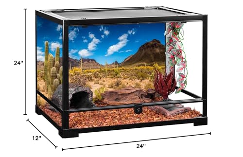 AWERT 24x12 inches Reptile Habitat Background Blue Sky Oasis Cactus Desert Terrarium Background Vinyl - size: 24x12in/60x30cm