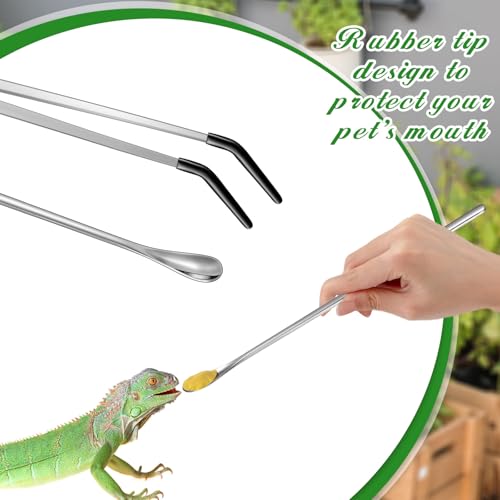 Lasnten 2 Pcs Stainless Steel Reptile Feeding Tong, Feeding Spoon for Bearded Dragon Snake, 10.5'' Aquarium Curved Tweezer with Rubber Tip, Terrarium Feeder Tool for Crested Gecko Tank Accessories