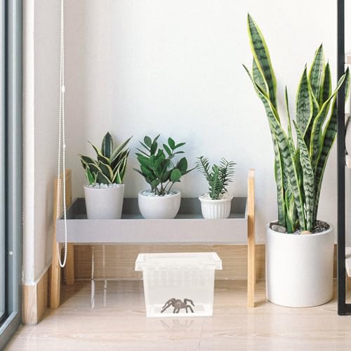 Alipis Reptile Breeding Box Pet Display Container for Turtles Spiders Snakes Lightweight Portable with Stable Ventilation for Fresh Air