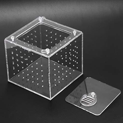 Pomya Transparent Acrylic with Ventilation | Feeding Hole Breeding Box for Insects Crabs Snakes Spiders Lizards