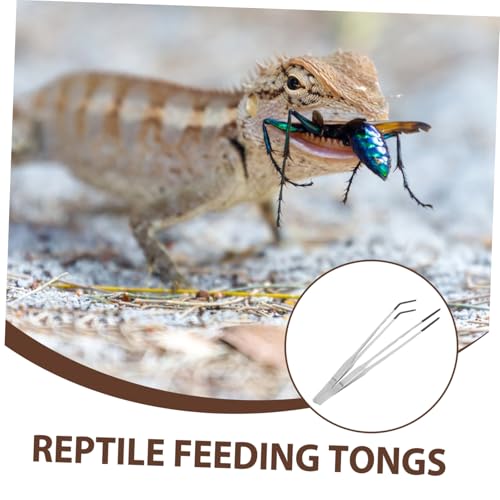 TEHAUX 2pcs Stainless Steel Feeder Tongs with Rubber Tips Curved Long Handle Reptile Accessories for Easy Feeding of Snakes Lizards and Aquatic Plants
