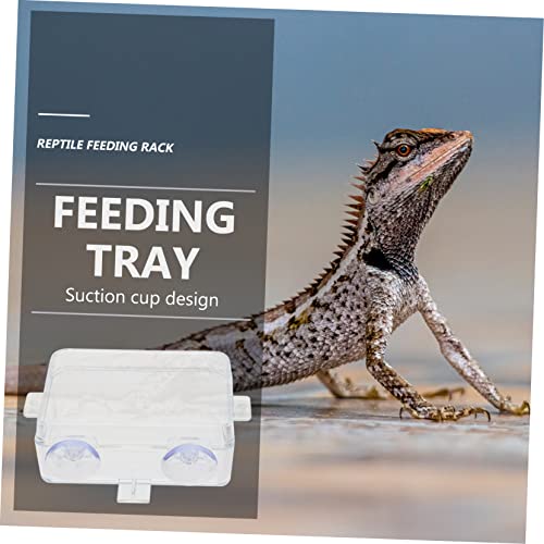 Hemoton 2pcs Reptile Feeding Bowls Escape Water Basin for Tanks Suction Cup Reptile Food Dishes Supplies
