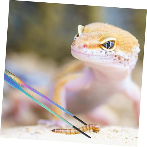BESTonZON 2PCS Stainless Steel Aquarium Feeding Tweezers Set Curved and Straight PET Feeding Tongs for Lizards Snakes and Reptiles Long Handle Tools for Terrarium and Aquatic Plants