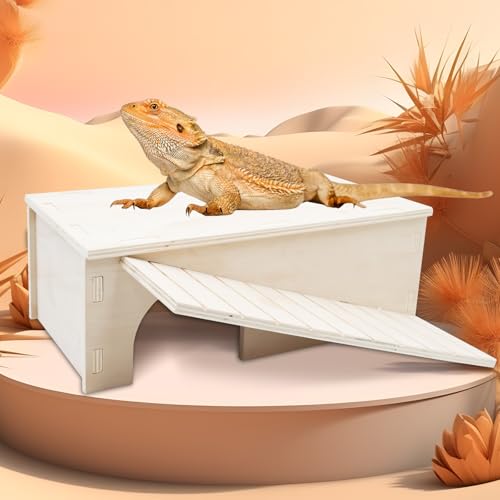 2-in-1 Wooden Hide Cave with Ramp & Basking Platform – Reptile Hideout & Tank Accessory for Bearded Dragons, Geckos, Snakes - size: Large