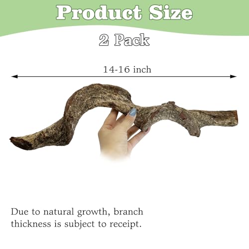 Reptile Cork Bark with Reptile Climbing Decor Thick Wood Branches Snake Habitat Decorations Terrarium Wooden Tree Trunk Ornament