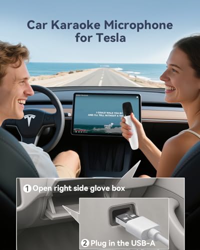 Tesla Karaoke Microphone for Tesla with Portable Case, Car Karaoke Microphone with USB A Receiver for Tesla Model Y/3/S/X, Wireless Singing Mic with 3.5mm Jack for Cars, Speakers, 2Mics
