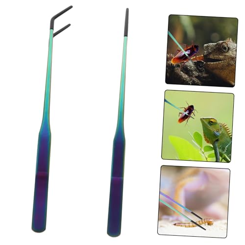 BESTonZON 2PCS Stainless Steel Aquarium Feeding Tweezers Set Curved and Straight PET Feeding Tongs for Lizards Snakes and Reptiles Long Handle Tools for Terrarium and Aquatic Plants