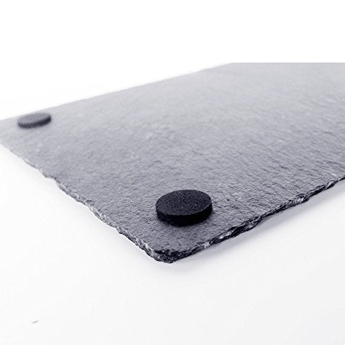 OMEM Turtle Reptile Rock Food Plate Grinding the Nail (S) - size: S