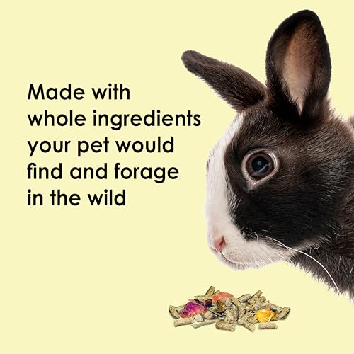 Kaytee Food from The Wild Natural Pet Rabbit Food, 4 Pound - size: 4 Pound (Pack of 1)