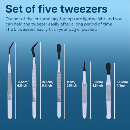 Entomology Forceps Set by MMOBIEL [5 Pcs] – Stainless Steel Precision Instruments with Rubber Tip Forceps Tweezers for Entomology, Insect/Bug/Butterfly Pinning, Dissecting, Taxidermy and Delicate Work