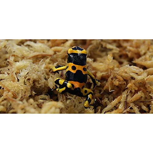 Sphagnum Moss, Dried Spagnum Dry Moss for Reptiles Bedding and Terrarium Pet Supplies, 150g