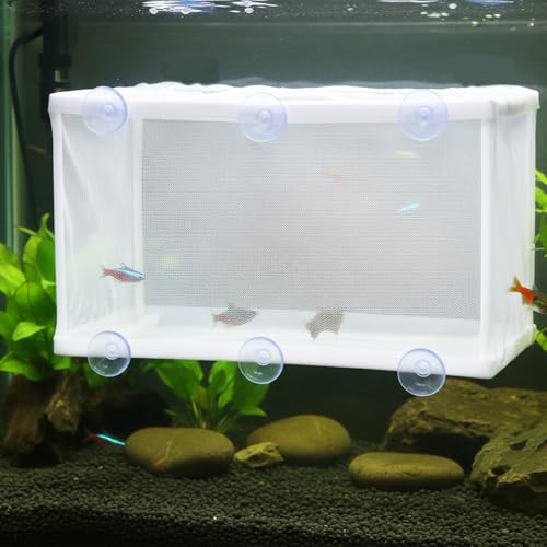 Fish Tank Breeder Net, Breeder Box for Fish Tank Simple to Install Fishes Hatchery Isolation Separation Net Plastic Frame Fry Hatchery Incubator Mesh Breeding Box with Suction Cup