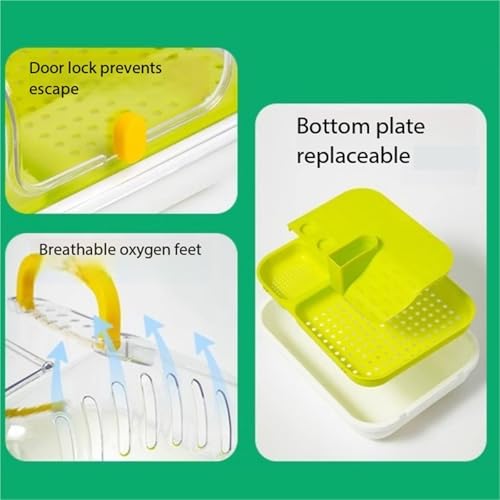 Reptile Tank Observation and Feeding Box for Ecological Turtle Hatching Animals Easy Assembly