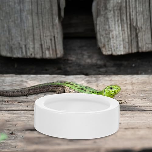CLISPEED 2 Pcs Ceramics Reptile Feeding Bowl Set for Small Lizards, Round Lizard Feeding Dish with Anti-Escape Design, Safe and Easy to Clean White Bowls for Terrarium Use
