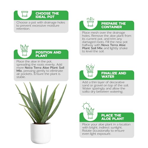 Potting Soil for Aloe Vera Plants Indoor Aloe Vera Plant Cactus Soil Potting Mix Aloe Vera Potting Mix Indoor Potted Aloe Plants Live Succulents Cactus Live Plants 2.4 Qts - color: Aloe Vera Soil