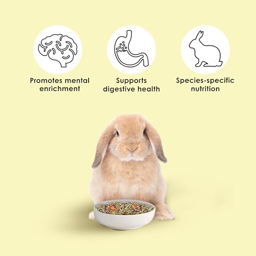 Kaytee Food from The Wild Natural Pet Rabbit Food,4 Pound,(Pack of 2) - size: 4 Pound (Pack of 2)