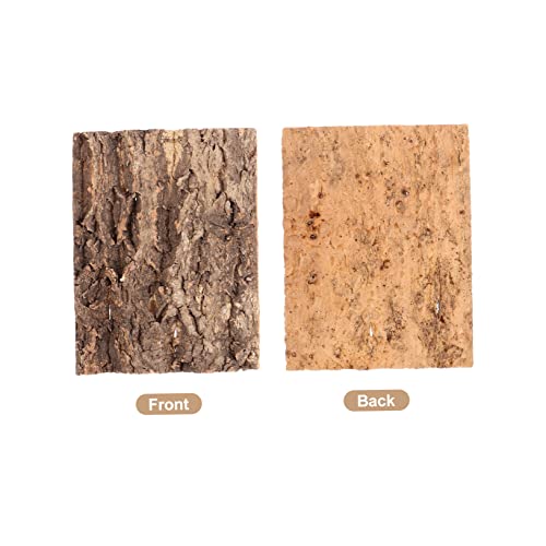 2Pcs Natural Reptile Hide Tree Bark Decor for Terrarium Climbing Tree Bark Decoration for Lizards Turtles Geckos Frogs Chameleons Habitat Background and Climbing Surface