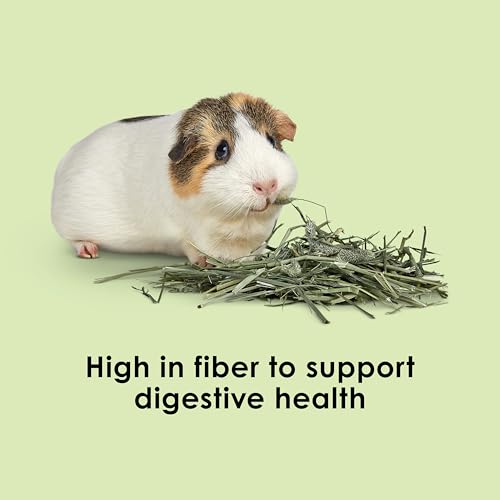 Kaytee Timothy Hay, High Fiber, Grown Specifically for Small Animals, Rabbits, Guinea Pigs, Chinchillas, Ideal Bulk Order for Small Pets, 12 Pounds - size: 12 Pound (Pack of 1)