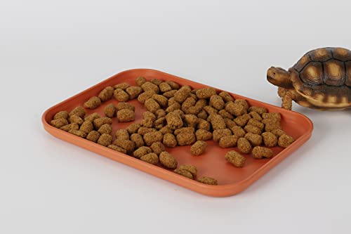 Reptile Large Water Dish, Tortoises Food Bowl - L (14.9 * 10.6 * 0.6) - size: L
