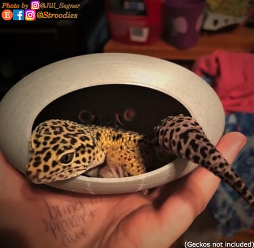 Stroodies Original Bubbleloft Hide for Arboreal Geckos | Especially Adult Cresties | Includes Suction Cups | (Marble)