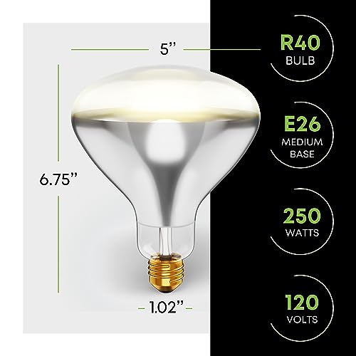 KOR 250 Watt R40 Clear Heat Lamp Light Bulb, Incandescent Reflector, Head Lamp, Heat Flood Lamp Light Bulb, E26 Standard Medium Screw Base, 120V, 2,000 Hour Rated, 2 Pack - color: Clear