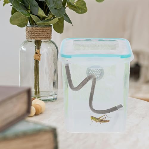 BESPORTBLE Reptile Climbing Branch Vine with Suction Cups and Caps, Artificial Terrarium Plant Decor for Hermit Crabs, Lizards, Turtles, and Snake Habitat, 0.5m Climbing Vine for Reptile Tank