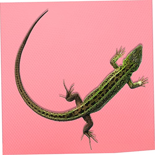 WOONEKY Leopard Gecko Tank Accessory Reptile Substrate Carpet Non- for Bearded Dragon Lizard
