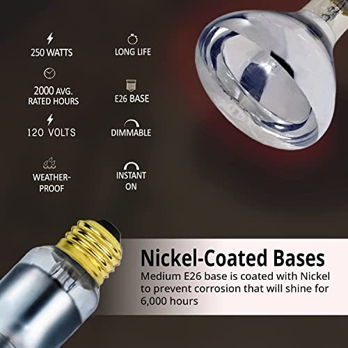 250 Watt Heat lamp Bulb for Bathroom R40 Incandescent Shower Heat Lamp Clear Infrared Bath Light 250R40 Chicken Light Bulb E26 Base 2 Pack
