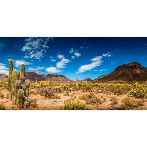 AWERT 30x18 inches Reptile Habitat Background Blue Sky Oasis Cactus Desert Terrarium Background Vinyl - size: 30x18in/75x45cm