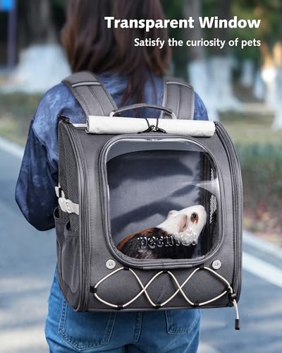 Pecute Small Pet Carrier, Breathable Bearded Dragon Carrier, with Transparent Bubble & Steel Frame, Safety Lock for Hamster, Rabbit, Guinea Pig, Parrot, Kitten, Puppy, Ideal for Travel/Vet Visits/Camp - color: Gray
