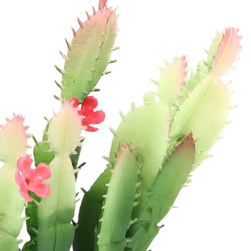 Reptile Plants Succulent, Reptiles Habitats Decoration Home Decor for Fish Aquarium Landscape, Simulation Plastic Cactus Plant Terrarium, Reptiles Habitats Decoration