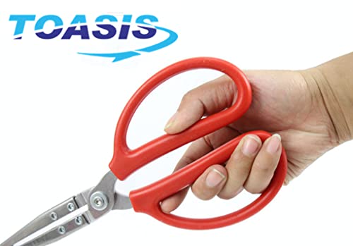Toasis Stainless Steel Crabbing Tongs for Live Crabs Eels (Straight Tip) - style: Straight Tip