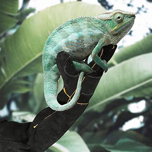AOWPFVV Long Sleeve Thick Leather Animal Handling Glove Anti Scratch Protective Gloves for Training Dog Cat Bird Snake Parrot Lizard Wild Animals Reptiles,Bite Resistant Gloves(Large,23.6in) - color: Black Size Large 23.6in