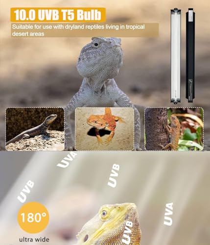 T5 Reptile Light Fixture Combo Kit 24W Light Fixture Reptile Terrarium Hood 10.0 UVB Light Bulb Fluorescent Tube for Tropical and Deserts Such as Bearded Dragon Lizards and Tortoises - size: 24W T5 Suite