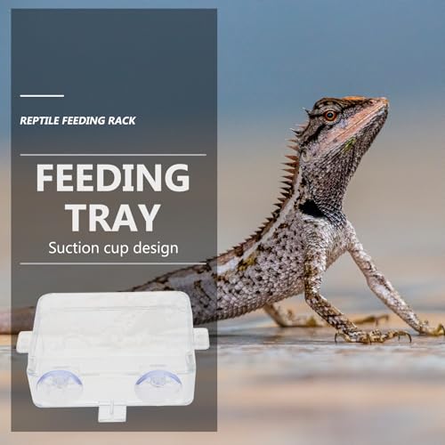 Amosfun Anti-Escape Reptile Feeding Bowl with Suction Cups, Large Food and Water Dish for Lizards, Geckos, Bearded Dragons – 2pcs Reptile Pet Feeders for Terrarium Use