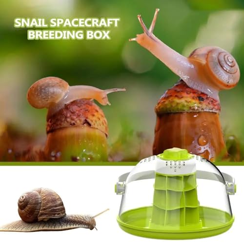 Snail Observation Terrariums Breeding Box, Round Snail Habitat Starter Terrarium Kit, Snail Feeding Box, Ideal for Snails, Beetles, Spiders, Small Reptile Insect Feeding bin Ecological Box