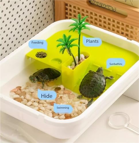 Reptile Tank Observation and Feeding Box for Ecological Turtle Hatching Animals Easy Assembly