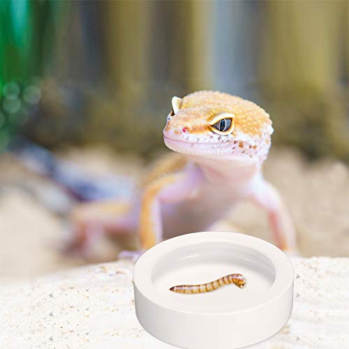 Meanplan 4 Pcs Reptile Bowl Food Dish Reptile Water Food Feeding Dish Ceramic Worm Pet Bowl Anti Escape Feeder for Lizard Anoles Chameleon Bearded Dragon Hermit Crab(2.71 Inch) - size: 2.71 Inch